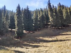 -天山天池风景区-西王母祖庙