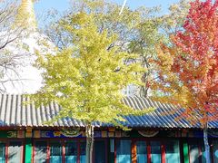-护国法轮寺