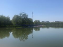 -大兴滨河森林公园