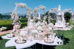 点击看大图 -Aimee'sCake婚礼甜品台·企业商务茶歇