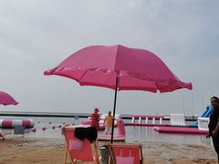 -奉贤海滩