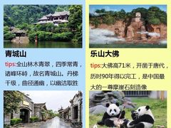 -成都大熊猫繁育研究基地
