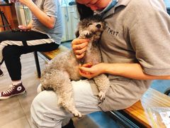 -PETKIT小佩宠物(古北店)