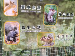 -哈尔滨北方森林动物园