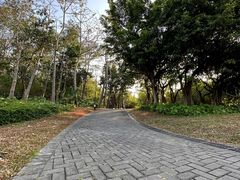 -深圳湾公园(南山区)