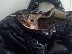 -爱侣宠医·鹦鹉专科·小型哺乳类·异宠专科(灵石路店)