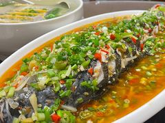飞虹鱼-飞虹鱼馆(春华路店)