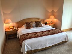 -南京维景国际大酒店(南京博物院店)