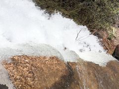 -世界恐龙谷景区