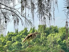 -人民公园(罗湖区)