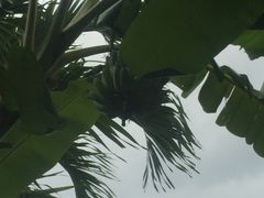 -100蛋泥浆浴