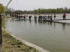 -杨柳青庄园