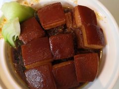 一品东坡肉-眉州东坡(民族园店)
