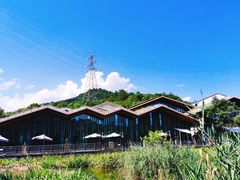 -西湖风景区-江洋畈生态公园