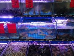 水产区-金海湾海鲜排档(朱家尖店)