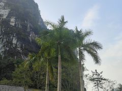 -大新明仕山庄