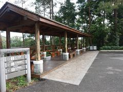 -广州市流溪河国家森林公园