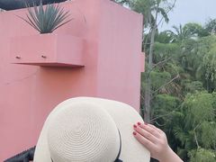 -东芭乐园