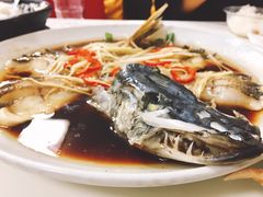 -煲来饱去冷水鱼