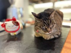 -PAUSE CAFE(南秀村店)