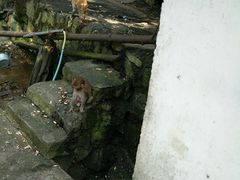 -罗田天堂寨风景区