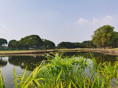 -旭宝高尔夫俱乐部