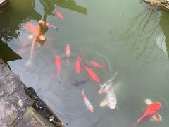 -燊海井