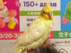 -合景·悠方(成都店)