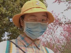 -秀丽东方