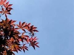 -中山公园