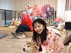 -柴迷FANS CLUB·柴犬狗咖·猫咖