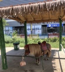 -萌宠亲子动物乐园(槐房万达店)