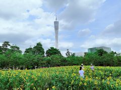 -二沙岛艺术公园