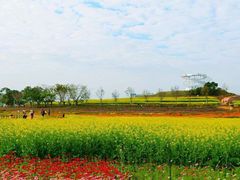 -光明小镇欢乐田园