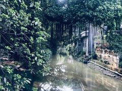-小洲村