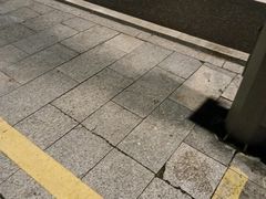 -云溪植物园