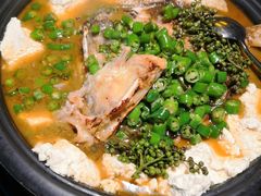 -探鱼·鲜青椒爽麻烤鱼(领展购物广场店)