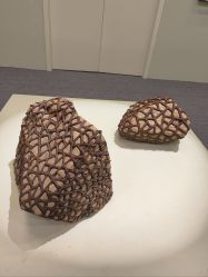 -今日陶艺(富力广场店)