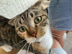 -平行世界·猫咖(首经贸店)