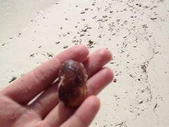 iphone_upload_pic-环滩岛