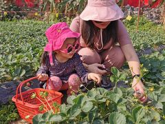 -会江钓鱼钓虾烧烤场