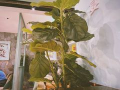 -春润大地海南椰子鸡(沙井京基百纳广场店)