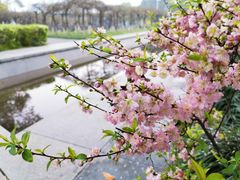 -白塘生态植物园