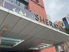 -芽庄喜来登水疗酒店