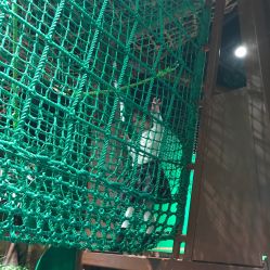 -奇幻丛林(佛罗伦萨小镇店)