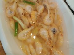 水煮白虾-西新饭店(城中店)