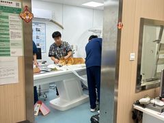 -康成宠物医院24H·CT·核磁共振