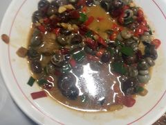 -全乐鱼馆·淳牌有机鱼直营店