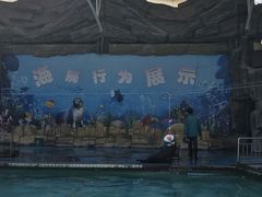 -合肥野生动物园