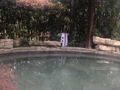 -杭州第一世界大酒店·云曼温泉